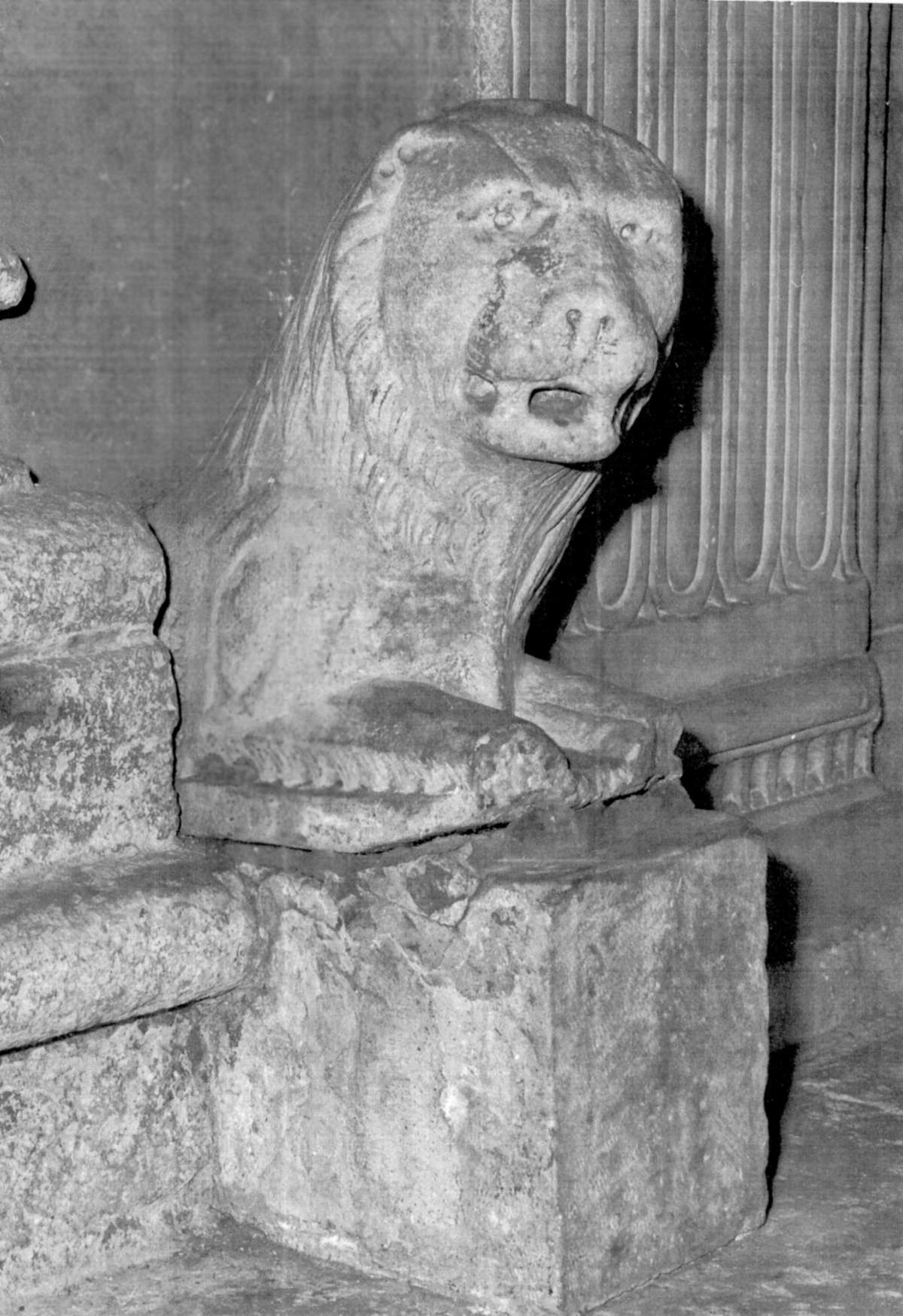 Abb. 42-Marco_015.jpg